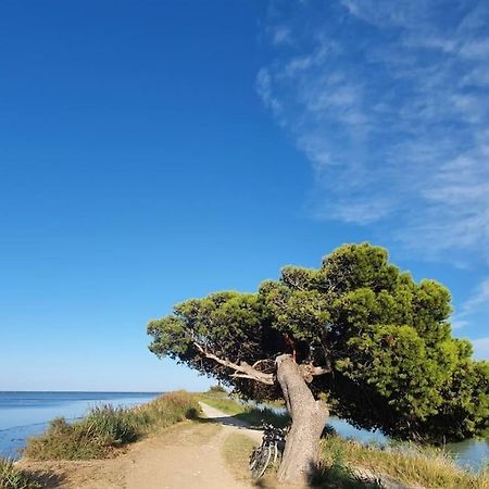 T2 Cosy A La Plage, Terrasse Vue Sur Mer Et Parking Privatif Narbonne Exterior photo