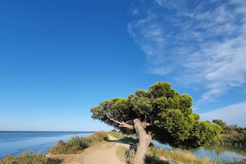 T2 Cosy A La Plage, Terrasse Vue Sur Mer Et Parking Privatif Narbonne Exterior photo